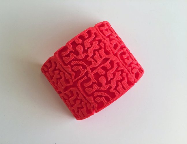Brain Curve 3D Print 44786