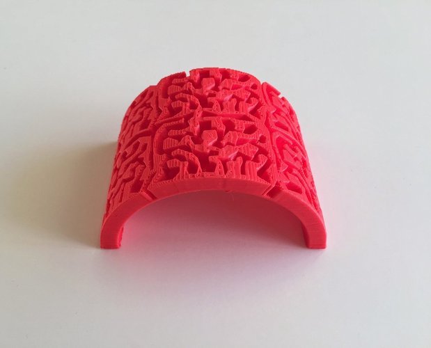 Brain Curve 3D Print 44788