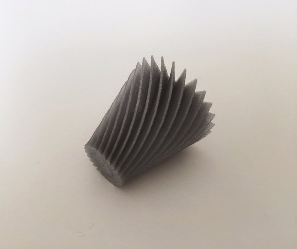 Twisted Star Vase Test 3D Print 44833