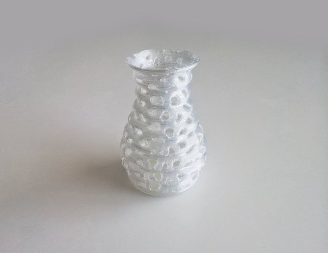 Voronoi Form Vase 1 3D Print 45021