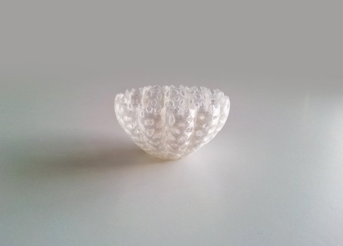 Voronoi Pumpkin bowl 1 3D Print 45026