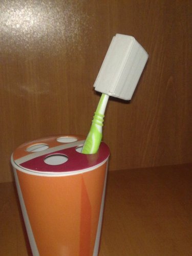 toothbrush case 3D Print 45246
