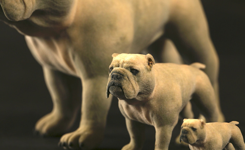 bulldog L size 3D Print 4536