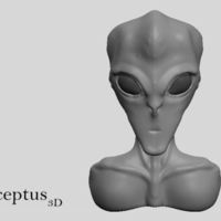 Mr. Gray Bust - Thumbnail 1