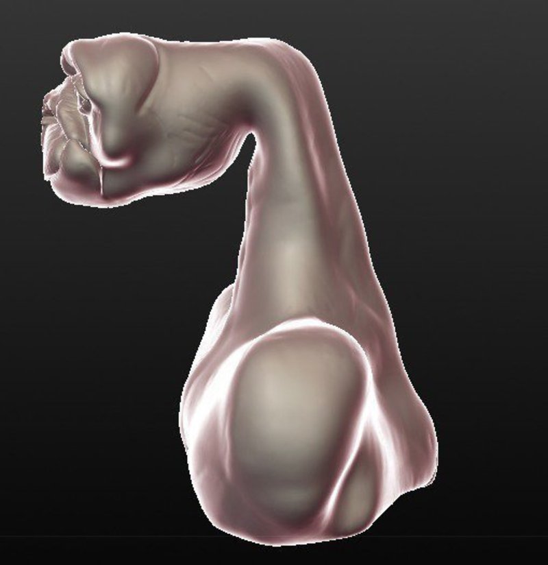 ET Bust