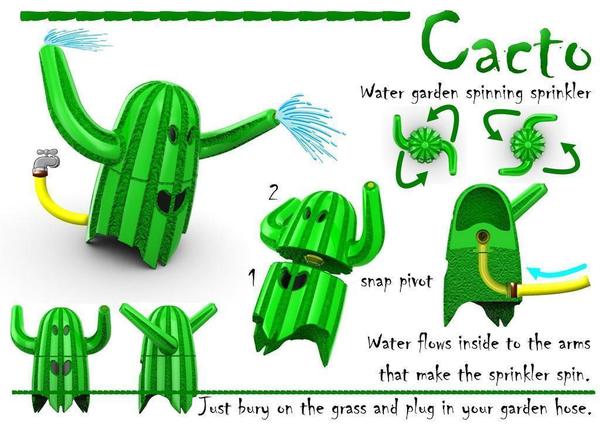 Cacto
