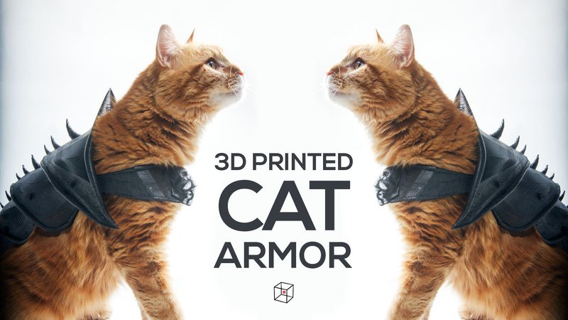 CAT ARMOR