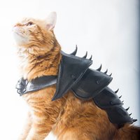 CAT ARMOR - Thumbnail 5