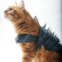 CAT ARMOR - Thumbnail 6