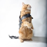 CAT ARMOR - Thumbnail 7