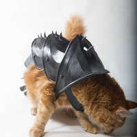 CAT ARMOR - Thumbnail 8