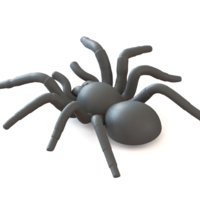 Spider Tarantula - Thumbnail 3
