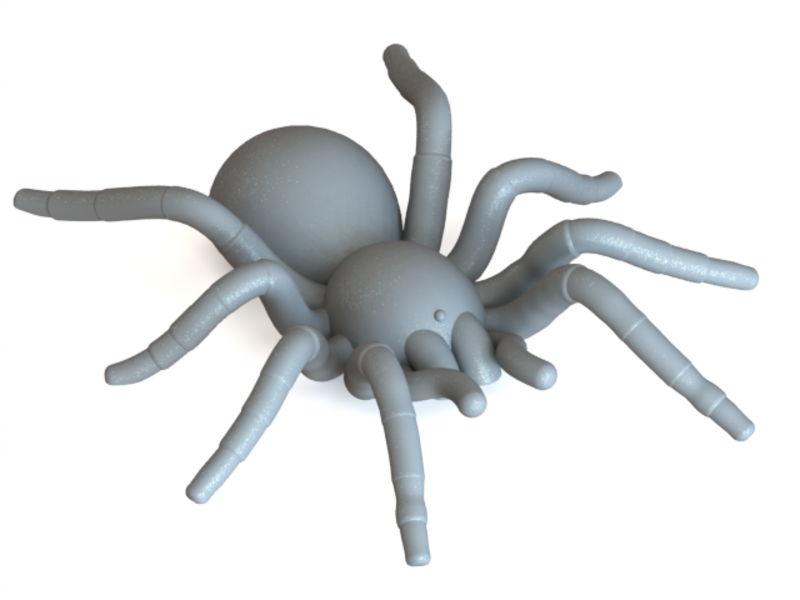 Spider Tarantula