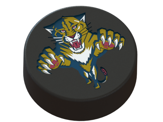Florida Panters logo on ice hockey puck
