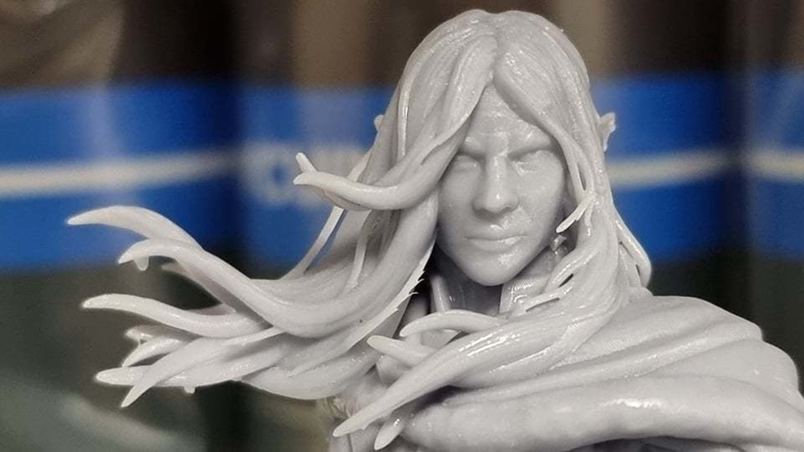 Drizzt Do'Urden 3D Print 465258