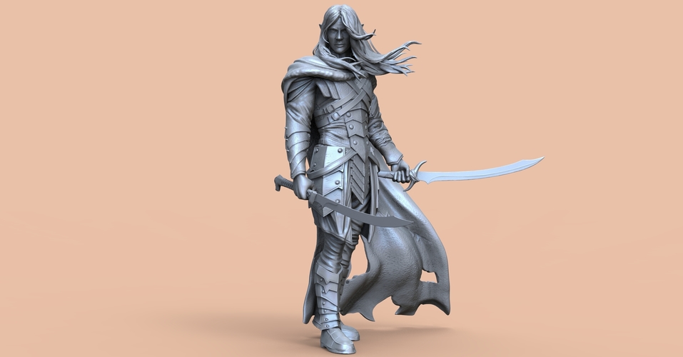 Drizzt Do'Urden 3D Print 465259