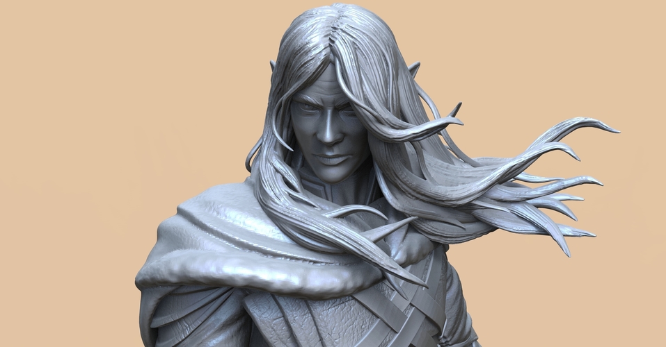 Drizzt Do'Urden 3D Print 465260