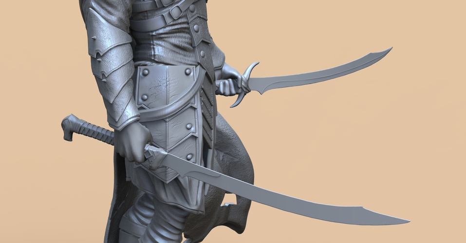 Drizzt Do'Urden 3D Print 465261