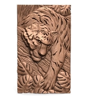 Tiger CNC 2 - Thumbnail 5