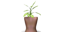 Image 466166