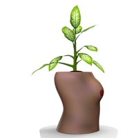 Woman pot 3 - STL FOR 3D PRINTING - Thumbnail 5