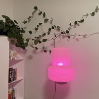 Plant clip - Thumbnail 5