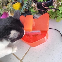 CAT DRINKING FOUNTAIN - Thumbnail 5