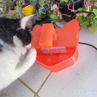 CAT DRINKING FOUNTAIN - Thumbnail 6