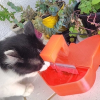 CAT DRINKING FOUNTAIN - Thumbnail 7