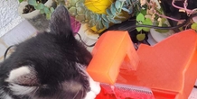 Image 466916