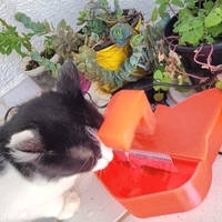 CAT DRINKING FOUNTAIN - Thumbnail 8