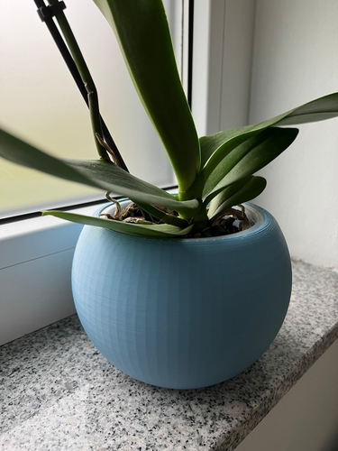 Sphere Plant Pot 3D Print 466976