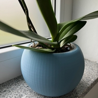 Sphere Plant Pot - Thumbnail 1