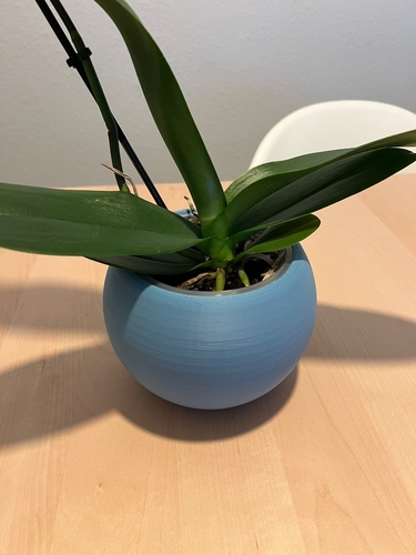 Sphere Plant Pot 3D Print 466978