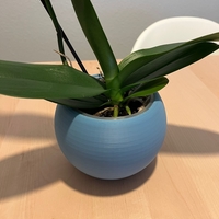 Sphere Plant Pot - Thumbnail 3
