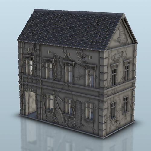 House 5 3D Print 466981