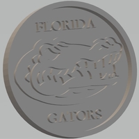 Small University Of Florida - Gators 3D Printing 467432