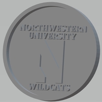 Small Northwestern University - Wildcats 3D Printing 467437