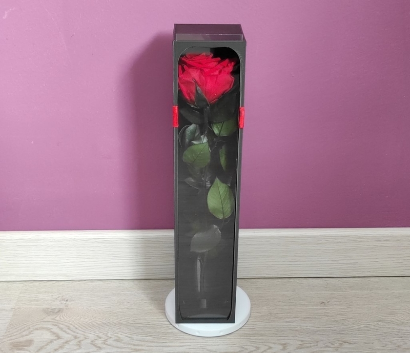 Estuche Rosa Eterna