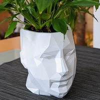 Small Low Poly Planter 3D Printing 467988