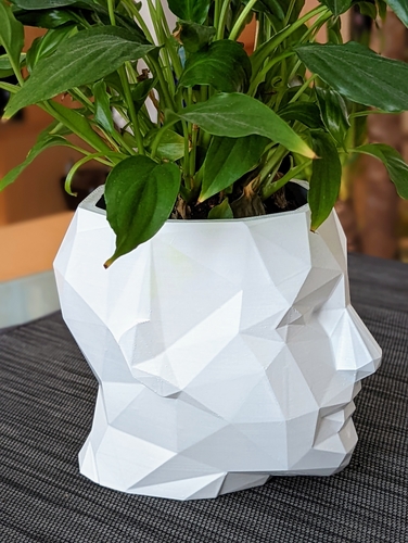 Low Poly Planter 3D Print 467989