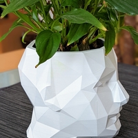 Low Poly Planter - Thumbnail 2