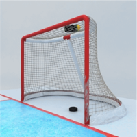 Small Hockey goal 3D Printing 468084