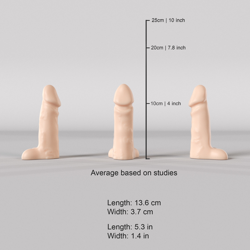 Average size Penis dildo based on studies