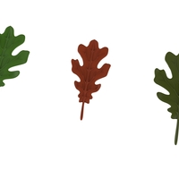oak leaf - Thumbnail 1