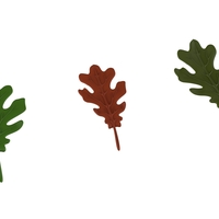oak leaf - Thumbnail 2