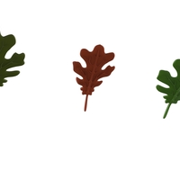 oak leaf - Thumbnail 8