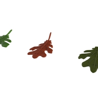 oak leaf - Thumbnail 10