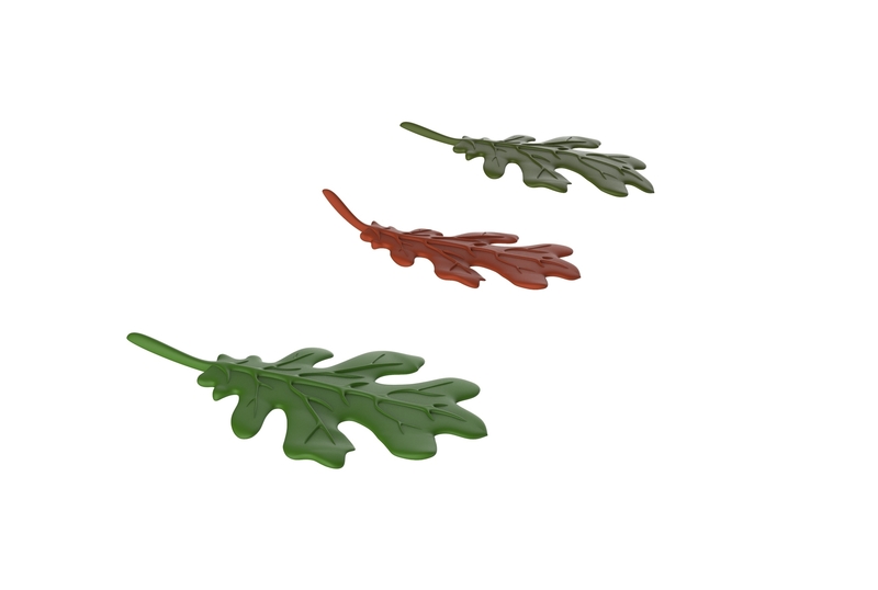 oak leaf