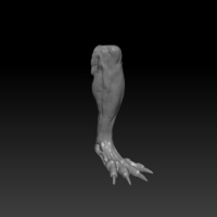Licker RE 2 Remake one sixth scale - Thumbnail 17